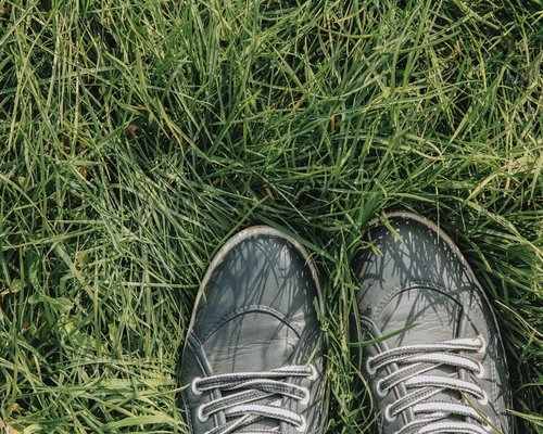 Close up of feet walking on green grass in morning